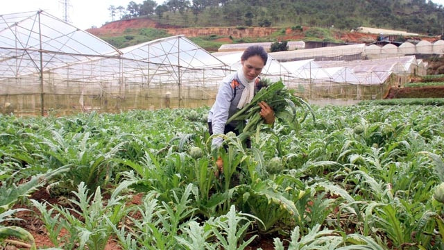 7-cach-lam-giau-o-nong-thon